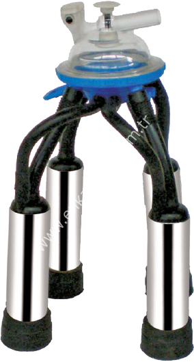 Uzun kauçuk memelikli krom kılıflı Ø 27 mm 200 ccm inek pençeli inek sağım demedi