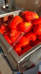 Enka salça makinesi