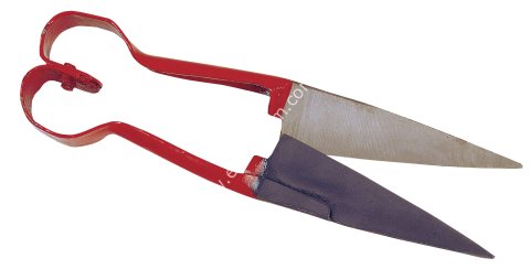 31 cm koyun için kırkma düzeltme makası