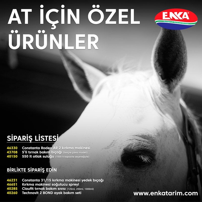At urunleri