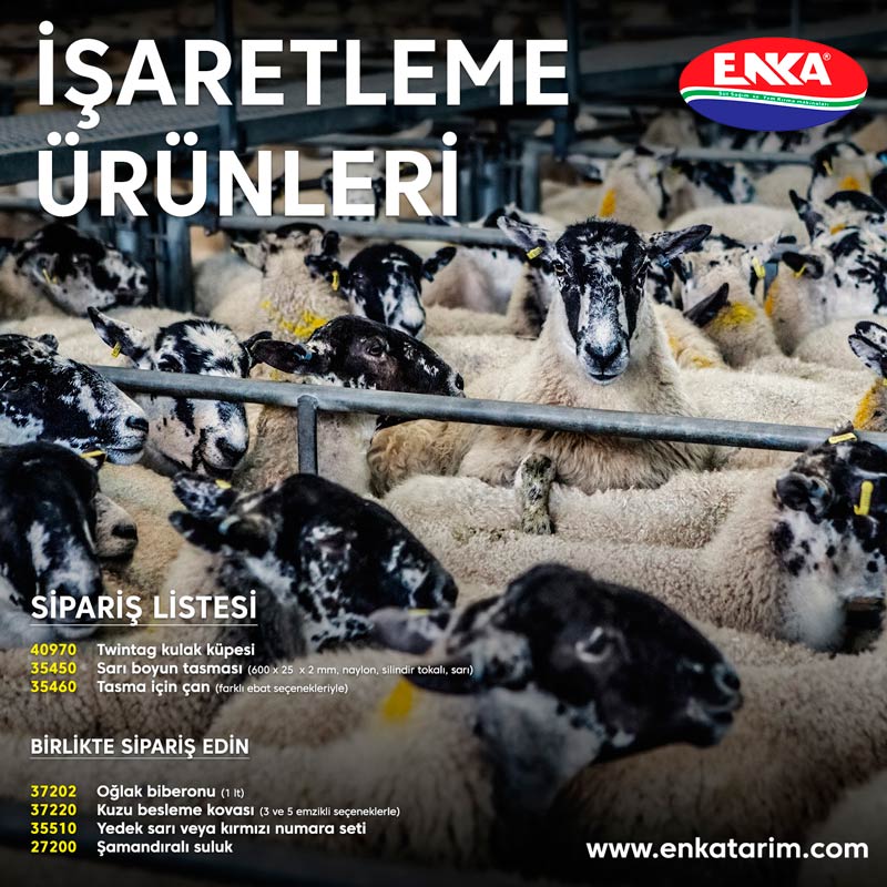 Kucukbas isaretleme