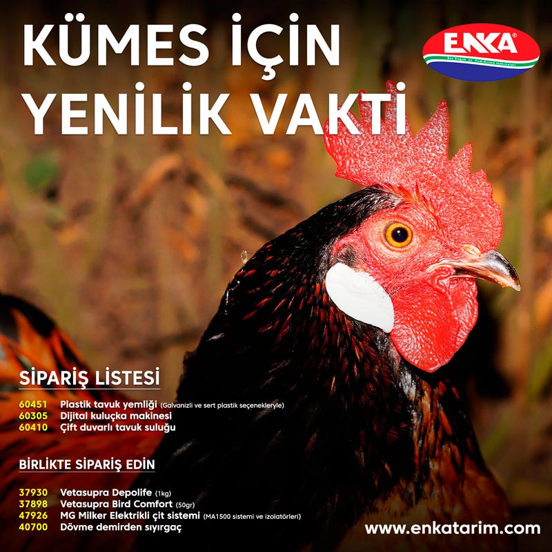 Kumes hayvanlari