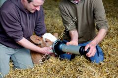 Buzağı solunum pompası, Rheintechnik, ithal