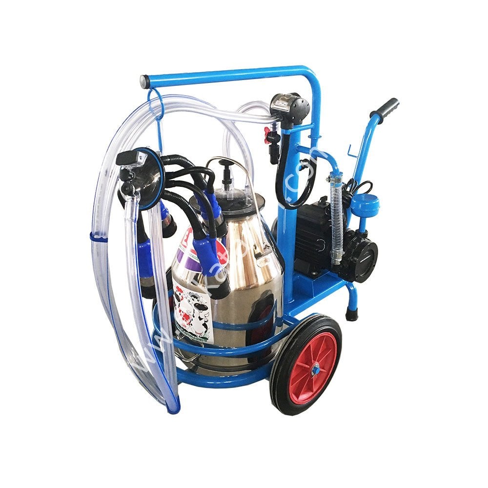 SM 700 tek güğüm tek sağım krom güğümlü kuru süt sağım makinesi, inek için