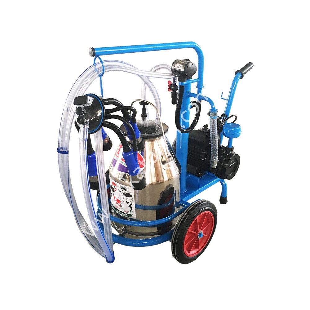 SM 700 tek güğüm tek sağım krom güğümlü kuru süt sağım makinesi, inek için