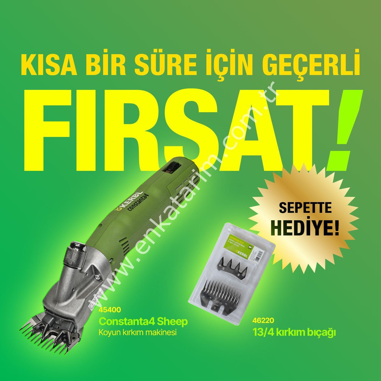 Kerbl Constanta4 koyun kırkma makinası (46220 kodlu 13/4 yedek kırkma bıçağı hediyeli)