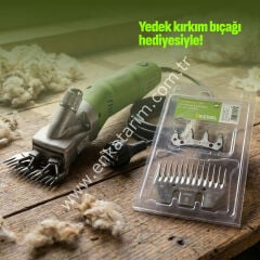 Constanta4 koyun kırkım makinesi
