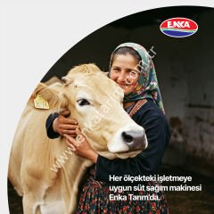 SM 250 tek güğüm çift sağım krom güğümlü turbo yağlı süt sağım makinesi, inek için