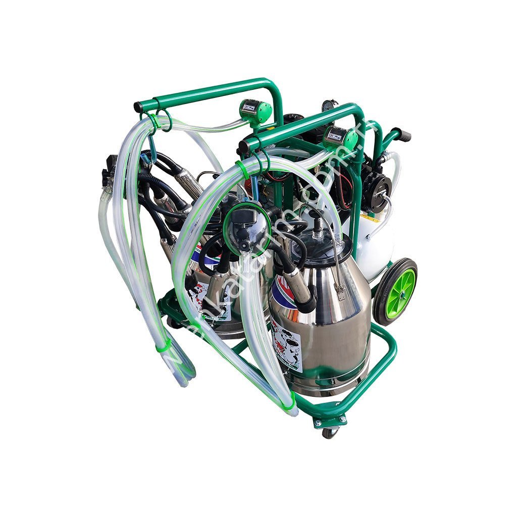 SM 600 çift güğüm çift sağım krom güğümlü kuru benzin motorlu süt sağım makinesi, inek için