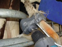 TailWell2 kuyruk kılı temizleme aleti