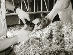 Ø 120 mm 3 bıçaklı alüminyum kesme diski