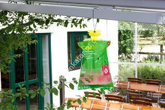 flycage2 sinek tuzağı