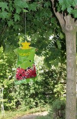 flycage2 sinek tuzağı