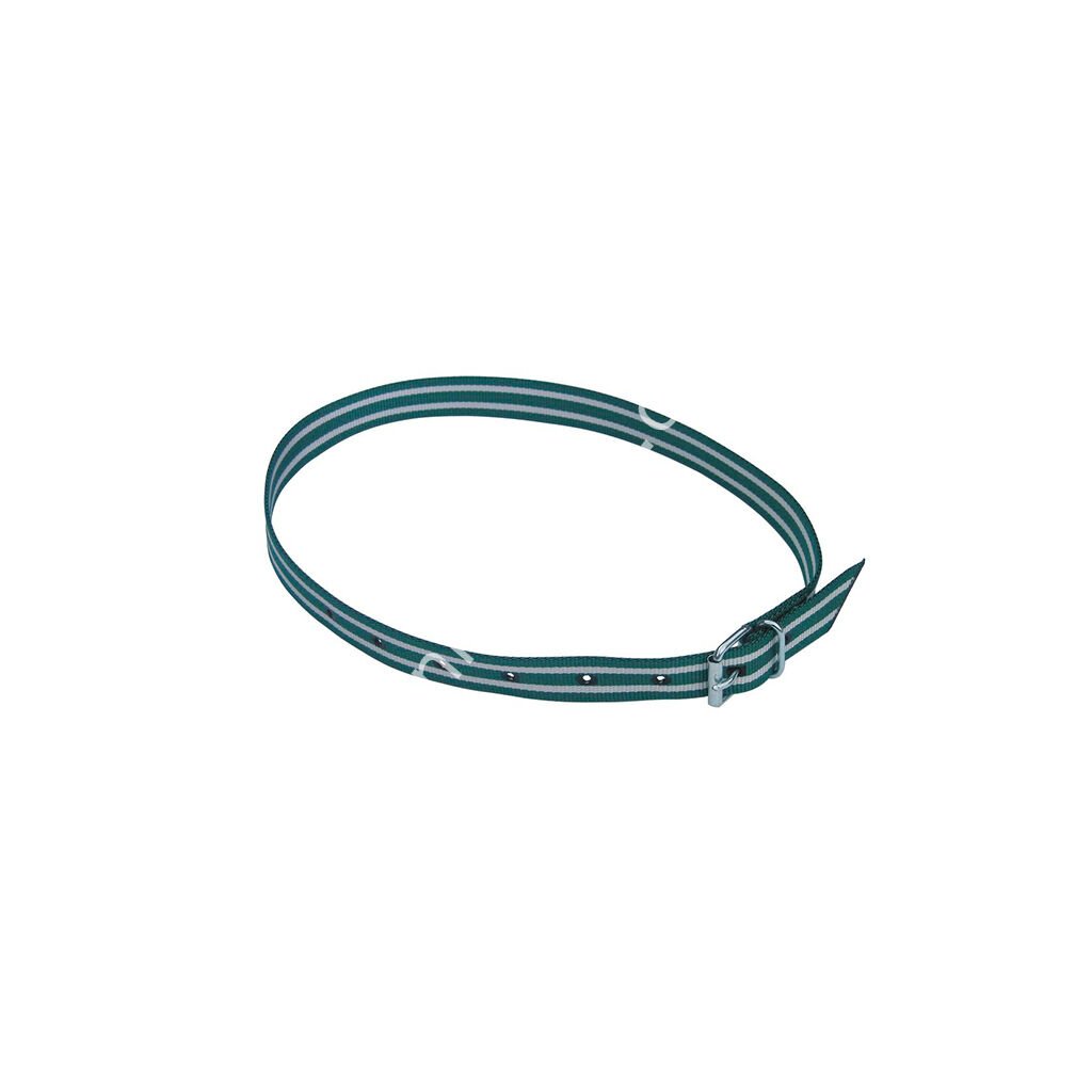 135 cm yeşil beyaz tasma