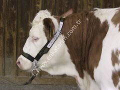 Çene zincirli, üstün kalite sığır yuları