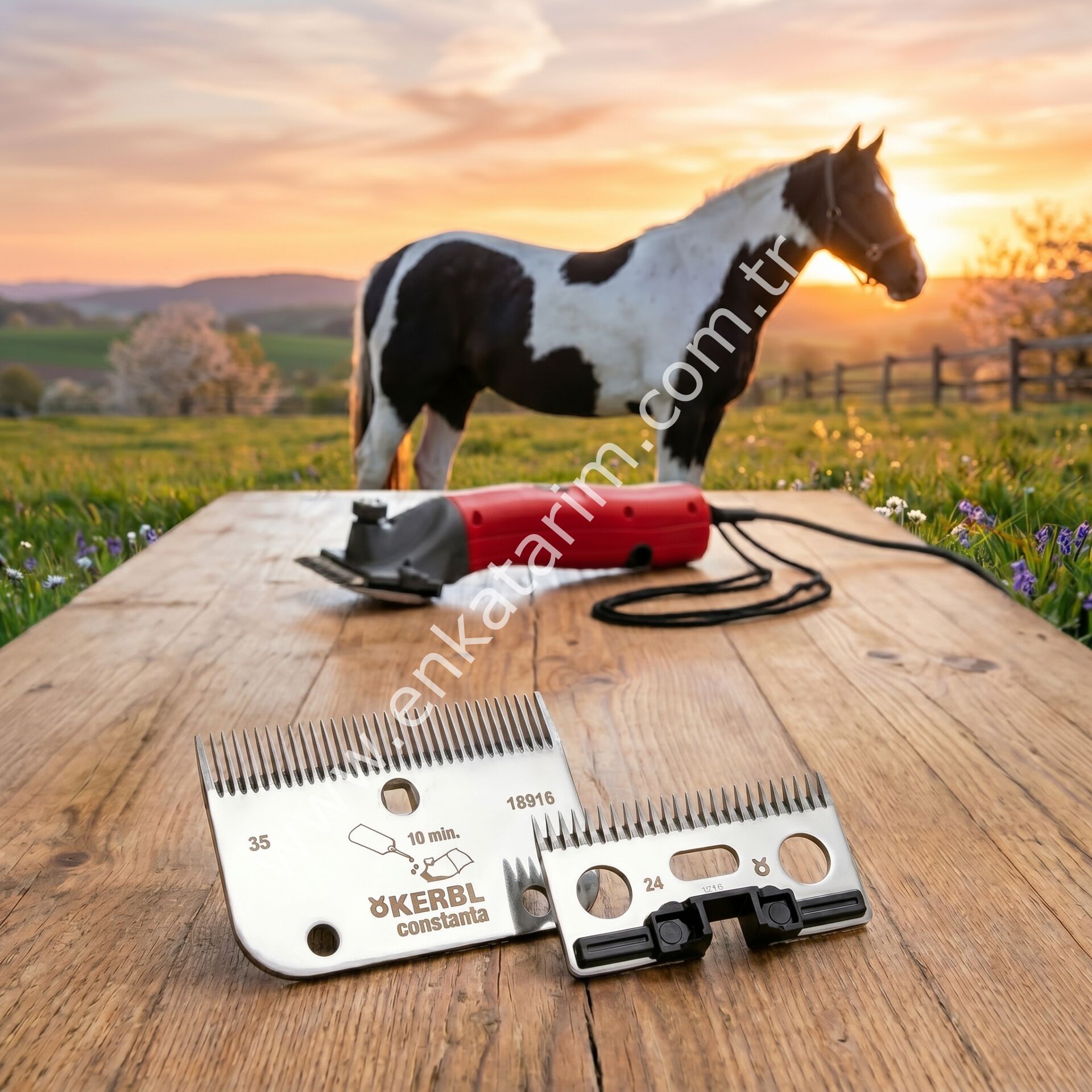 Constanta Rodeo ile uyumlu kırkım bıçağı, R2,  35/24