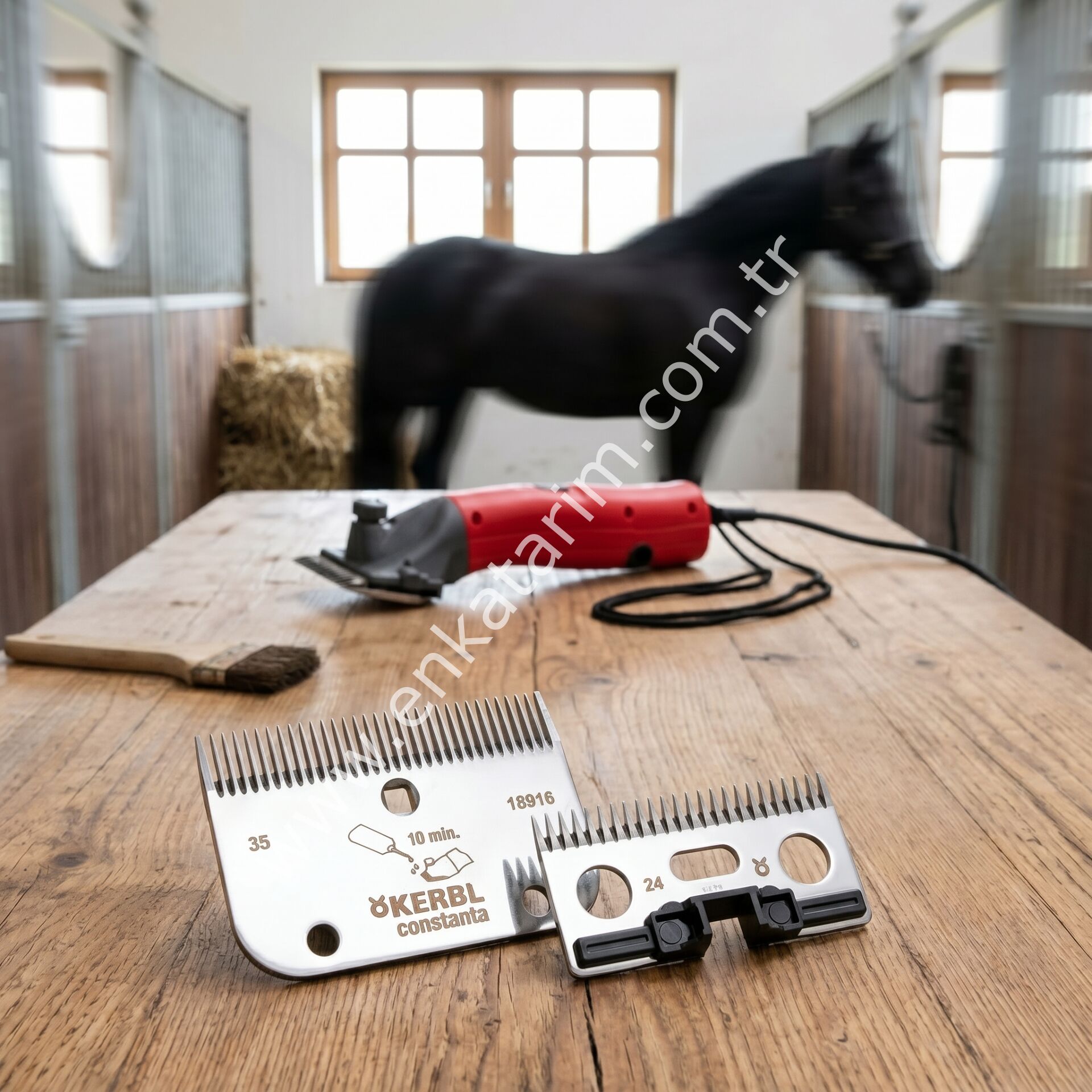 Constanta Rodeo ile uyumlu kırkım bıçağı, R22,  35/24