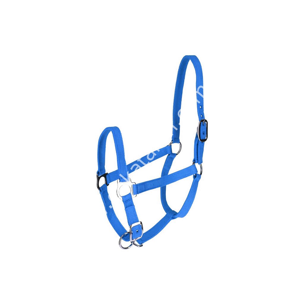 Mavi gösteri yuları