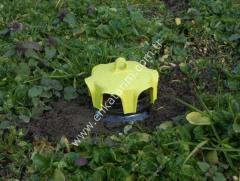 Kavanoz için sinek tuzağı