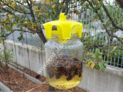 Kavanoz için sinek tuzağı