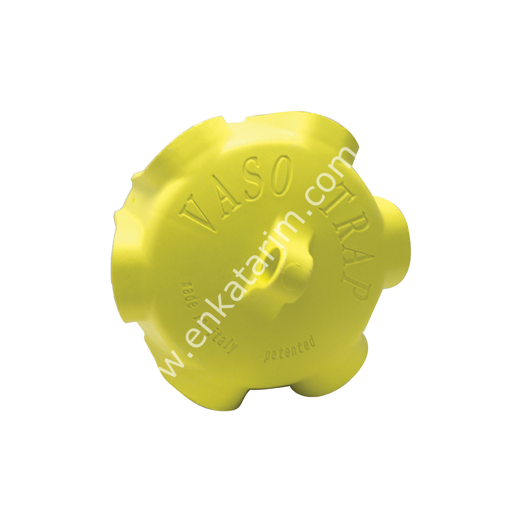 Kavanoz için sinek tuzağı