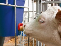 FixClip valfli 8 lt, skalalı, metal kulplu buzağı emzirme kovası, komple set