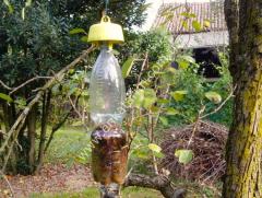 Şişe için sinek tuzağı