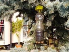 Şişe tipi sinek tuzağı