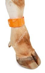 Mavi renkte tokalı ayak işaretleme bandı, 36 cm