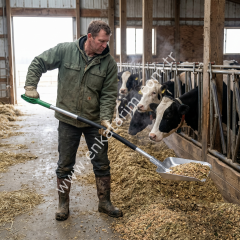 36 cm alüminyum kürek