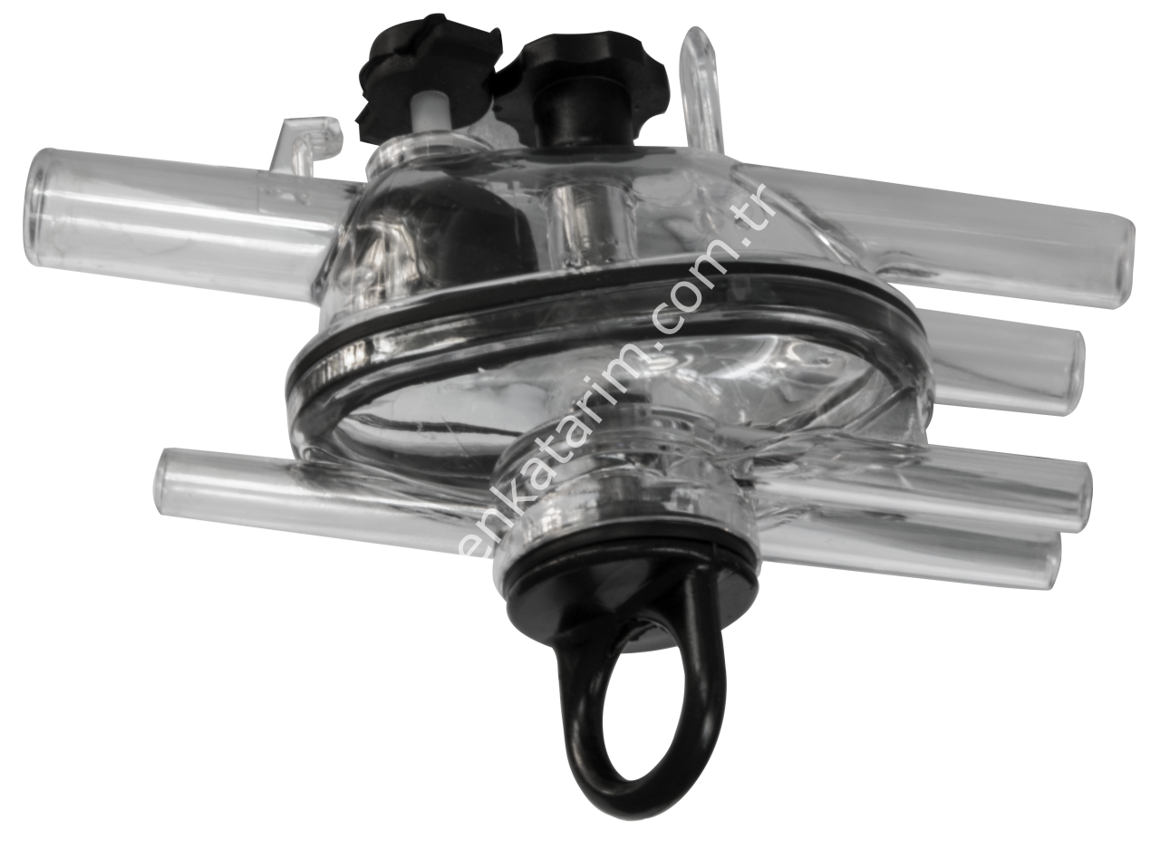 Leon koyun keçi pençesi