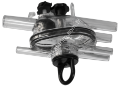 Leon koyun keçi pençesi