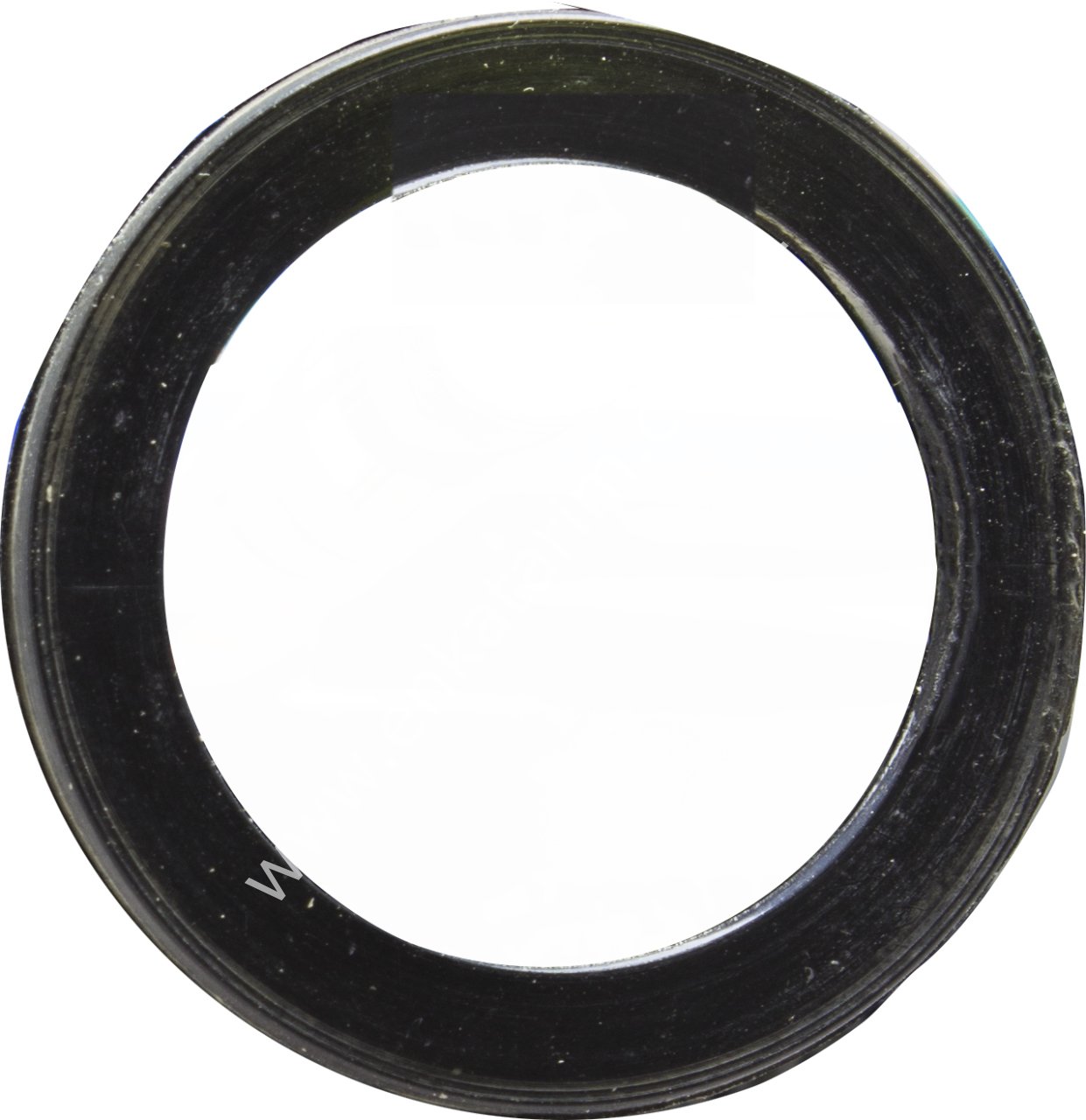 Askılık contası, Leon koyun keçi pençesi için