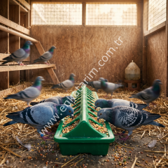 50 cm plastik güvercin ve tavuk yemliği