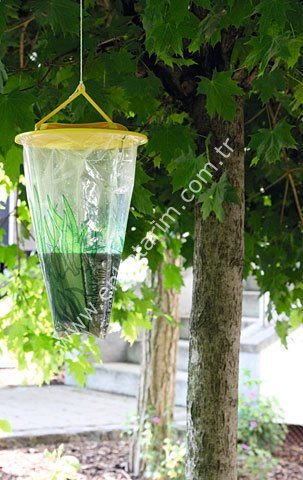 Arı tuzağı