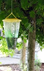 Arı tuzağı