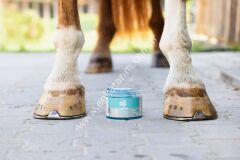 MagicBrush serinletici ve ferahlatıcı jel Equimint, 500 ml