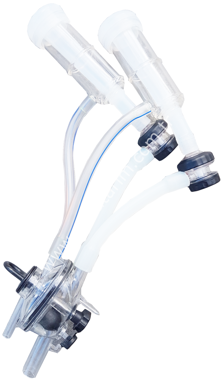 Leon pençeli, silikon memelikli, otomatik otomatlı keçi sağım demedi