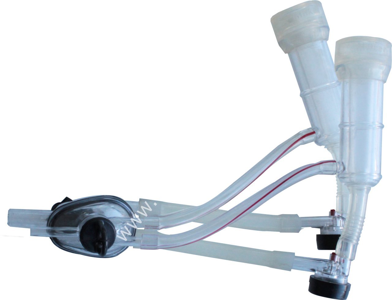 Otomatik otomatlı, silikon memelikli, Leon pençeli koyun sağım demedi