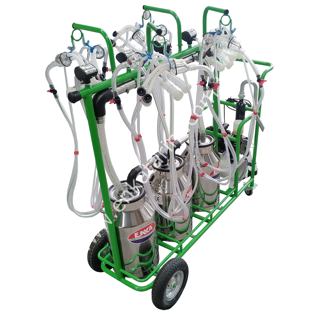 3 güğümlü 8 sağımlı, güğümden güğüme sağımlı, damlama yağlı, krom güğümlü süt sağım makinesi, koyun için