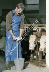 120x80 cm mavi sağımcı önlüğü