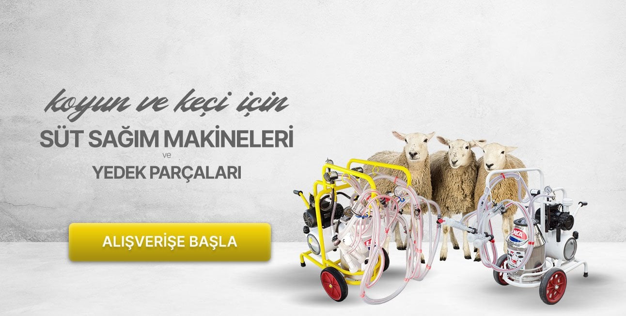 Koyun ve keçi için süt sağım makineleri