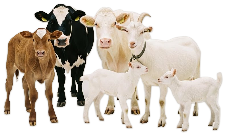 Çiftliğiniz için gerekli her şey.