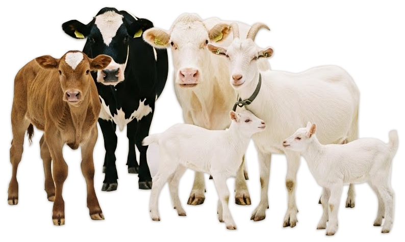 Çiftliğiniz için gerekli her şey.