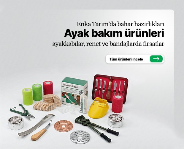 Sığır yetiştiriciliği ürünlerini inceleyin.