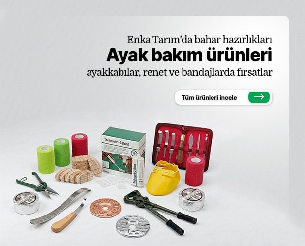 Ayak bakım ürünlerini inceleyin.