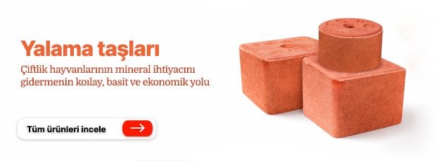 Enka yalama taşları ile çiftlik hayvanlarının ihtiyaç duyduğu mineralleri sağlayın.