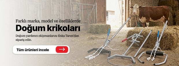 Doğum krikoları